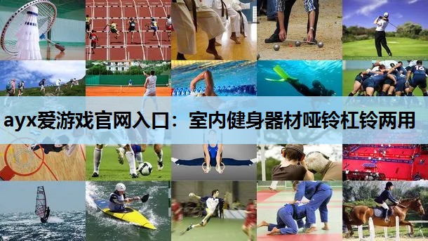 ayx爱游戏官网入口：室内健身器材哑铃杠铃两用