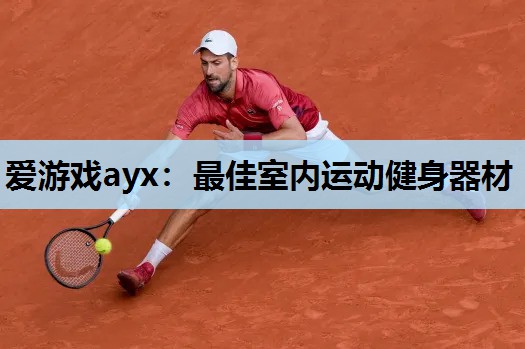 爱游戏ayx：最佳室内运动健身器材