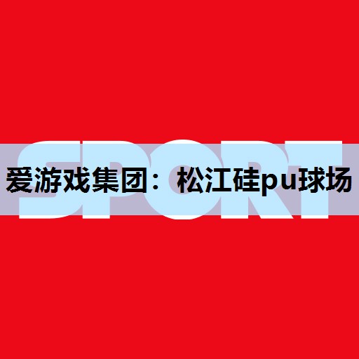 爱游戏集团：松江硅pu球场