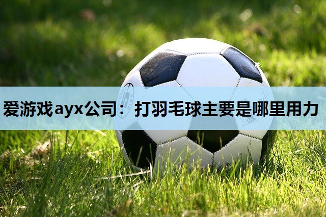 爱游戏ayx公司：打羽毛球主要是哪里用力