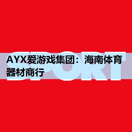 AYX爱游戏集团：海南体育器材商行