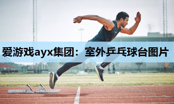 爱游戏ayx集团：室外乒乓球台图片