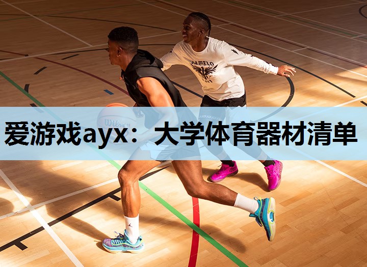 爱游戏ayx：大学体育器材清单