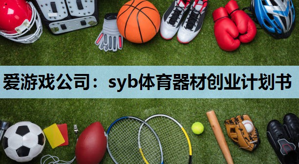 爱游戏公司：syb体育器材创业计划书