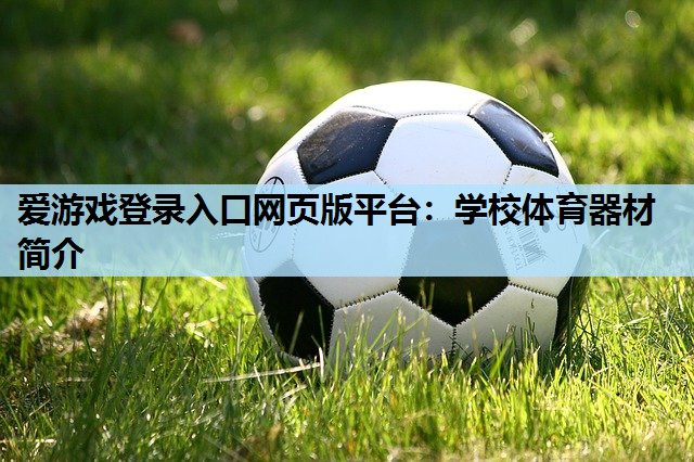 爱游戏登录入口网页版平台：学校体育器材简介