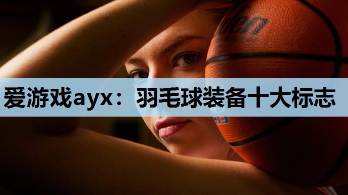爱游戏ayx：羽毛球装备十大标志