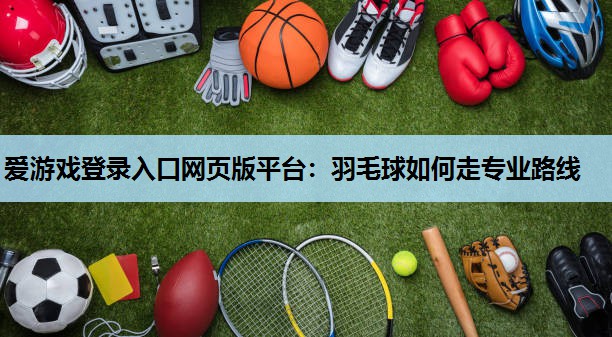 爱游戏登录入口网页版平台：羽毛球如何走专业路线
