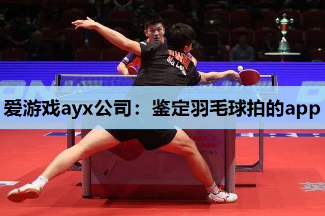 爱游戏ayx公司：鉴定羽毛球拍的app