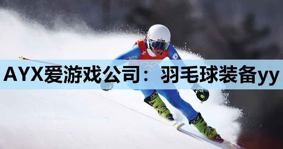 AYX爱游戏公司：羽毛球装备yy