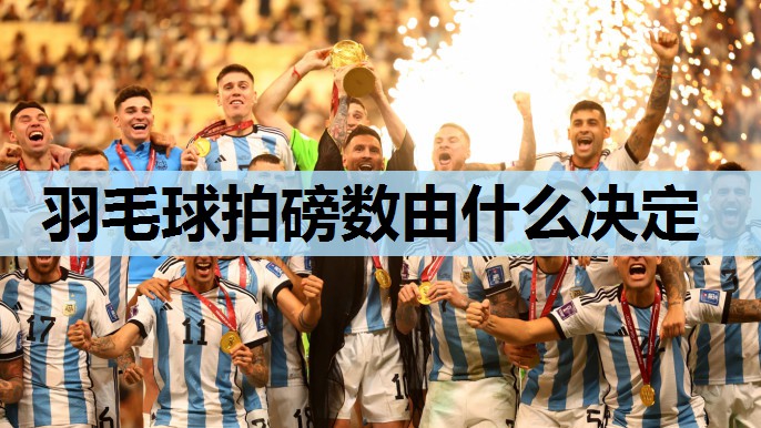 羽毛球拍磅数由什么决定 羽毛球拍磅数由什么决定