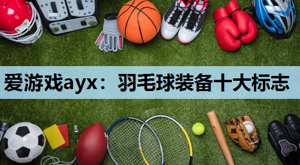 羽毛球装备十大标志 羽毛球装备十大标志