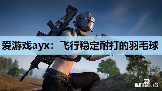 飞行稳定耐打的羽毛球 飞行稳定耐打的羽毛球