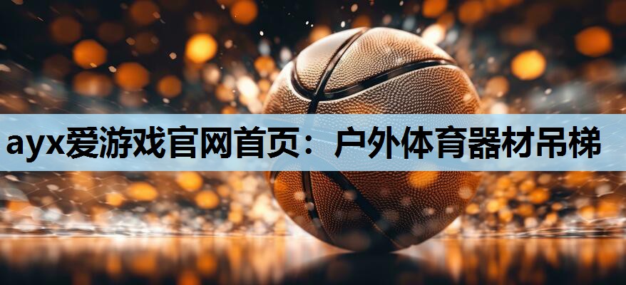 户外体育器材吊梯 户外体育器材吊梯